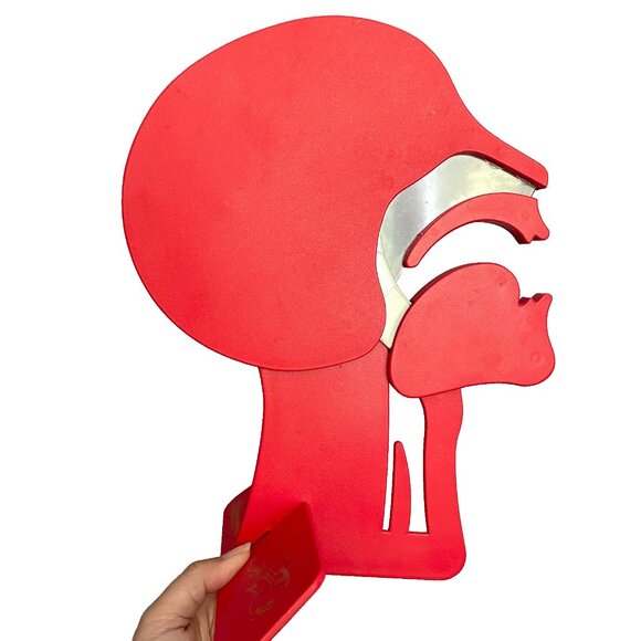 🛑 Laerdal Head Section Model, Airway, Head Tilt Chin Lift, First Aid Demo - Picture 1 of 8